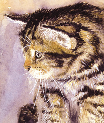 Kitten - Watercolour