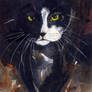 CAT NIGHTTIME Watercolour