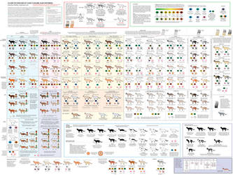 Guide to Cat Colors, Patterns by Majnouna
