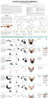 Guide to Housecat Breeds 1