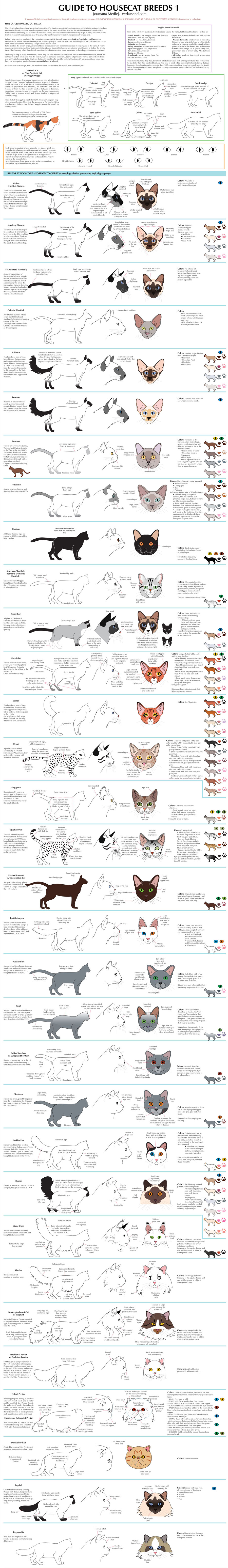 Guide to Housecat Breeds 1 by Majnouna