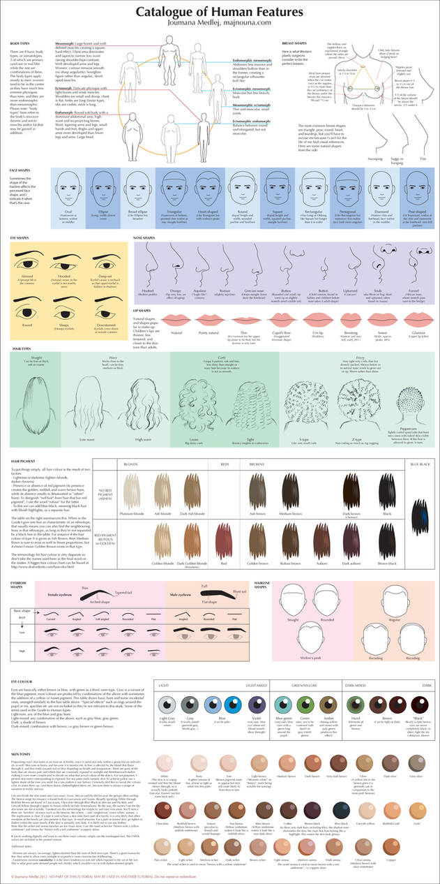 Catalogue of Human Features by Majnouna