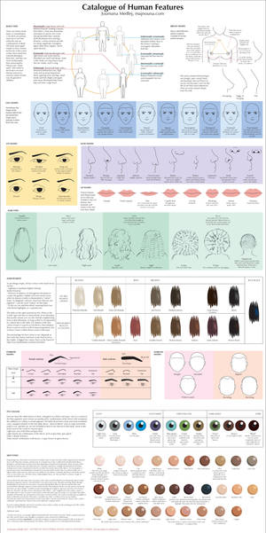 Catalogue of Human Features