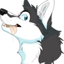 Husky Headshot -CM-