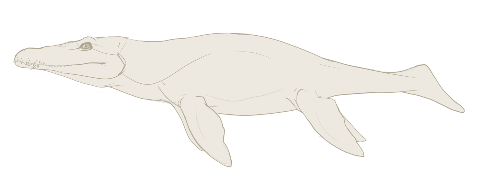 Liopleurodon