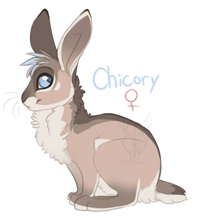 Chicory Ref -CM- by MBPanther