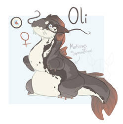 Oli ref