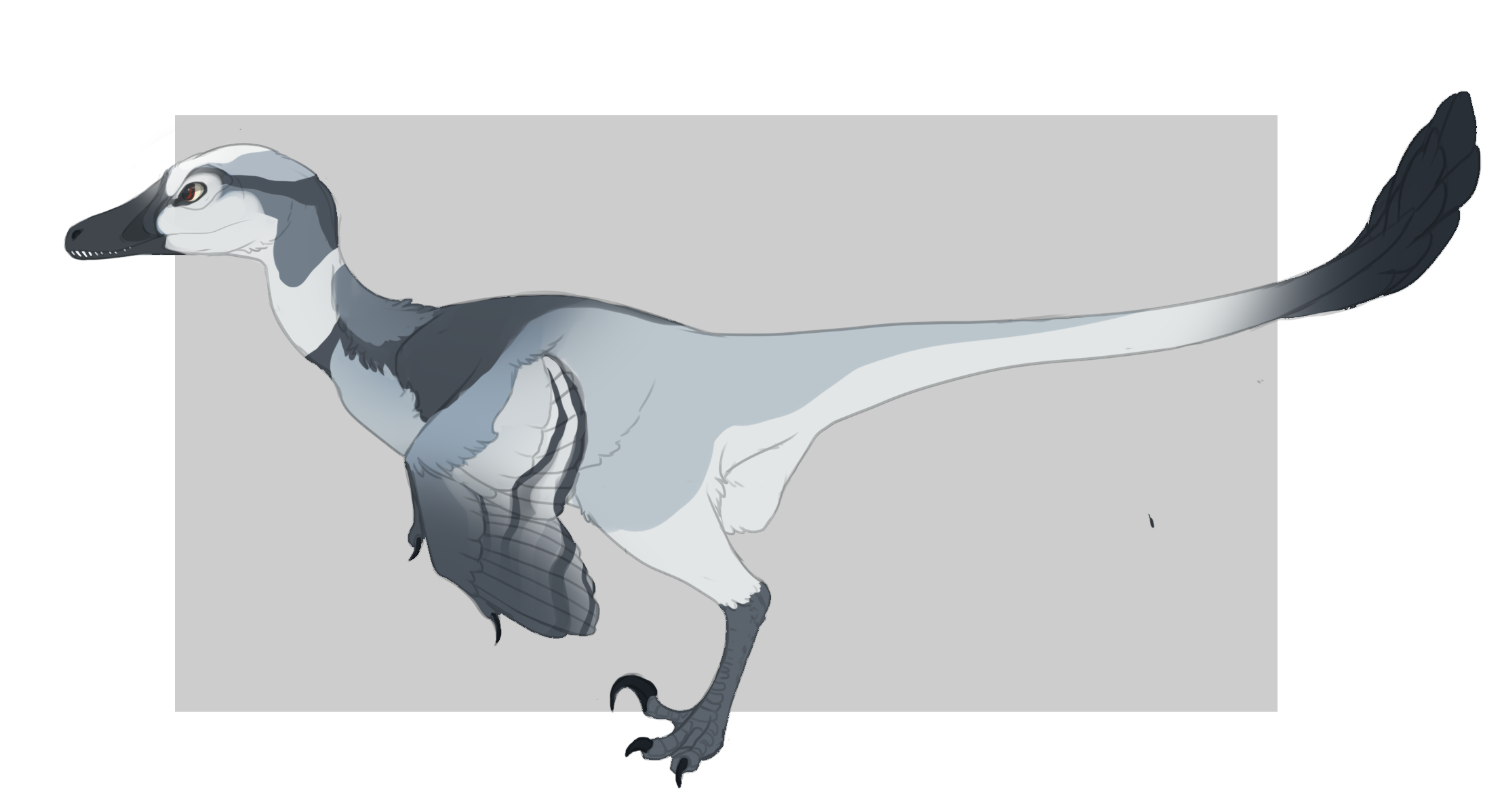 Raptor Design -CM- by MBPanther on DeviantArt