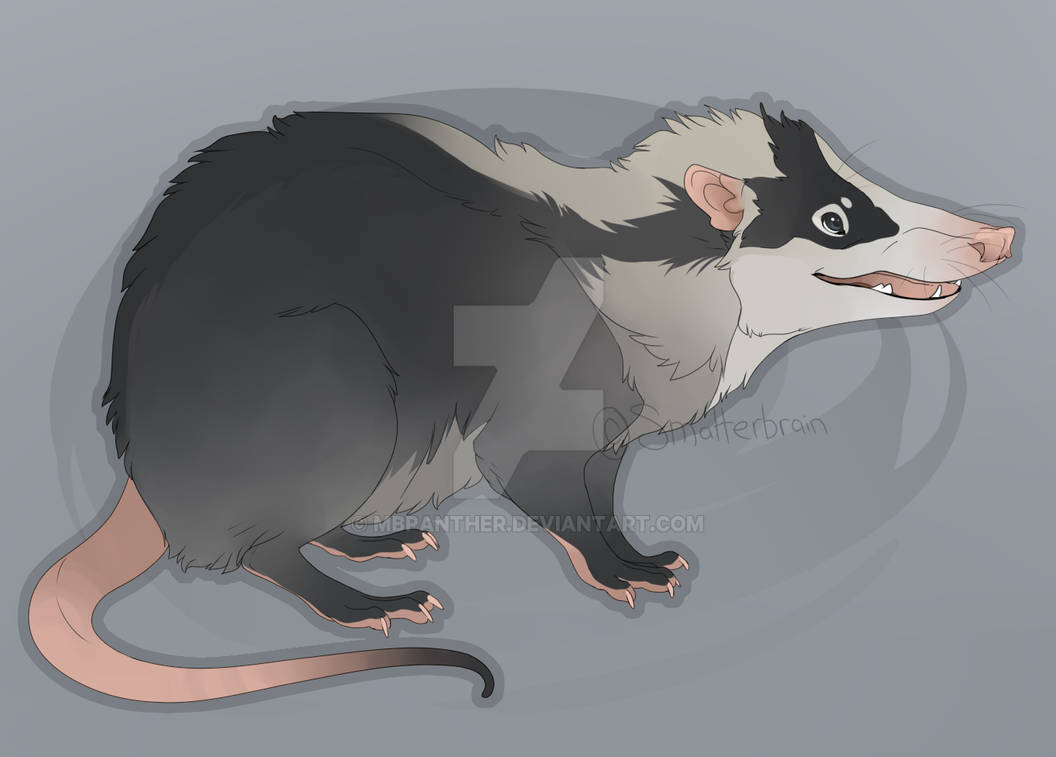 Moonrat Moonrat Kieran by MBPanther on DeviantArt