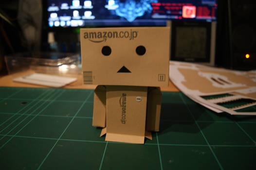 Building Danbo