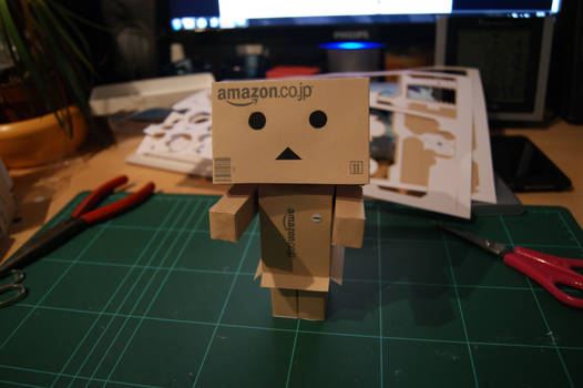 Building Danbo