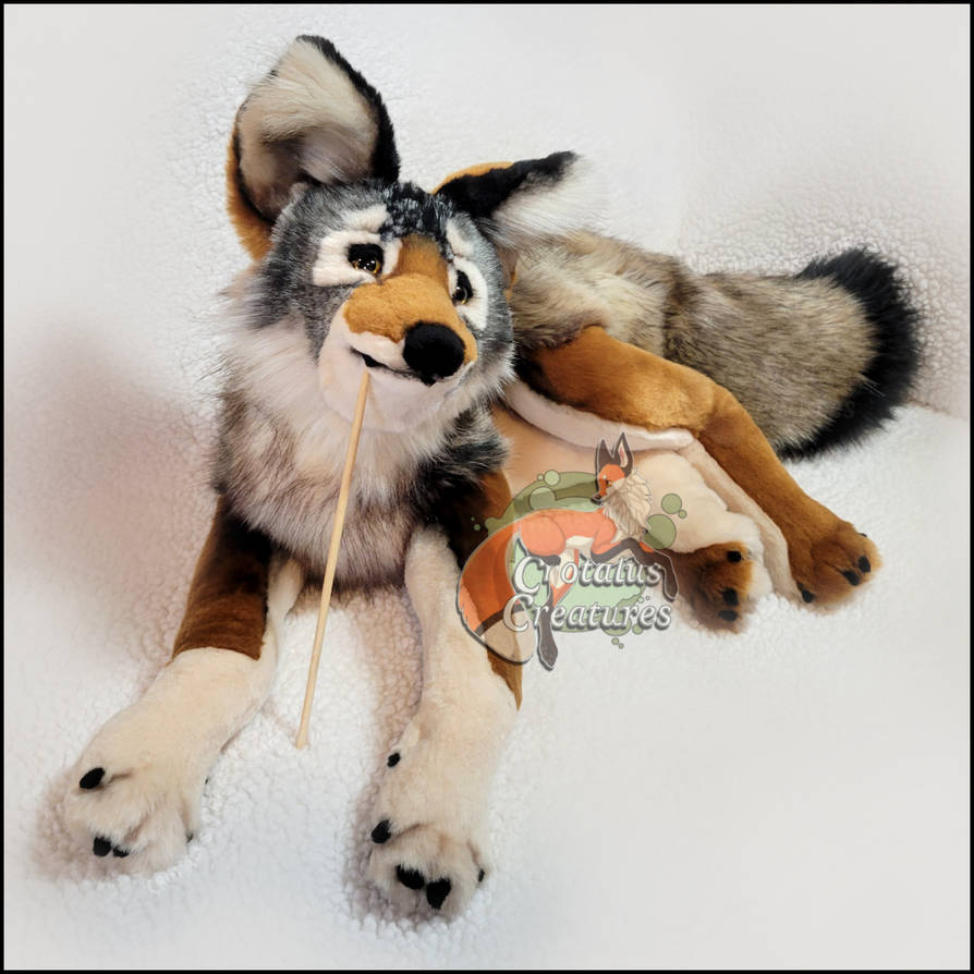 Samwise Rabbit Samwise the Coastal Wolf by CrotalusCreatures on DeviantArt