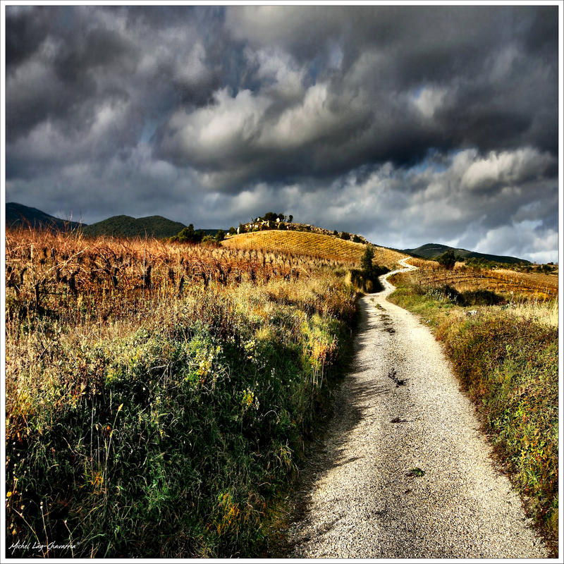 The magic path... by Michel-Lag-Chavarria on DeviantArt