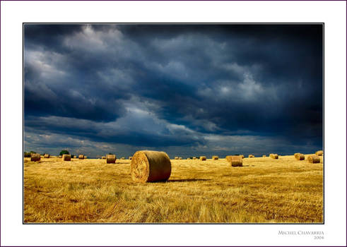 When the hay's cut...