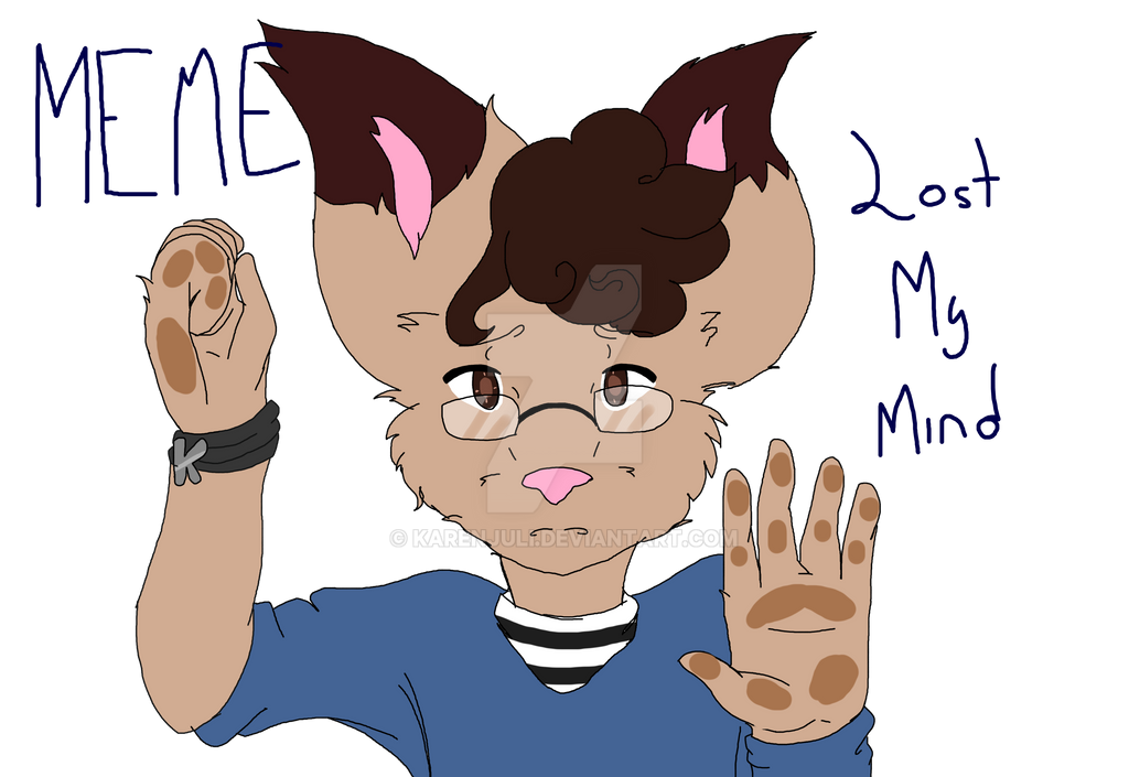 Meme Less Mind Losing My Mind Meme ~ by karenjuli on DeviantArt