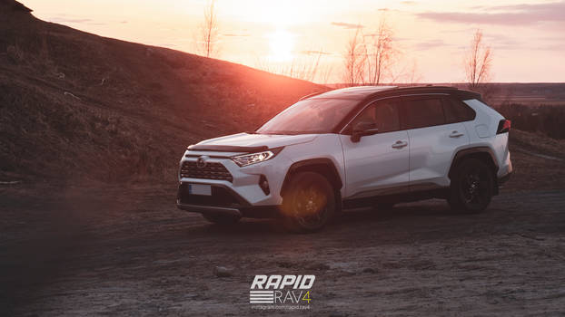 Toyota RAV4 2019 hybrid