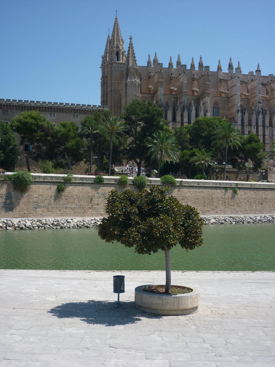 palma