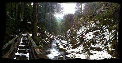 Multnomah Falls Larch Mt Trail