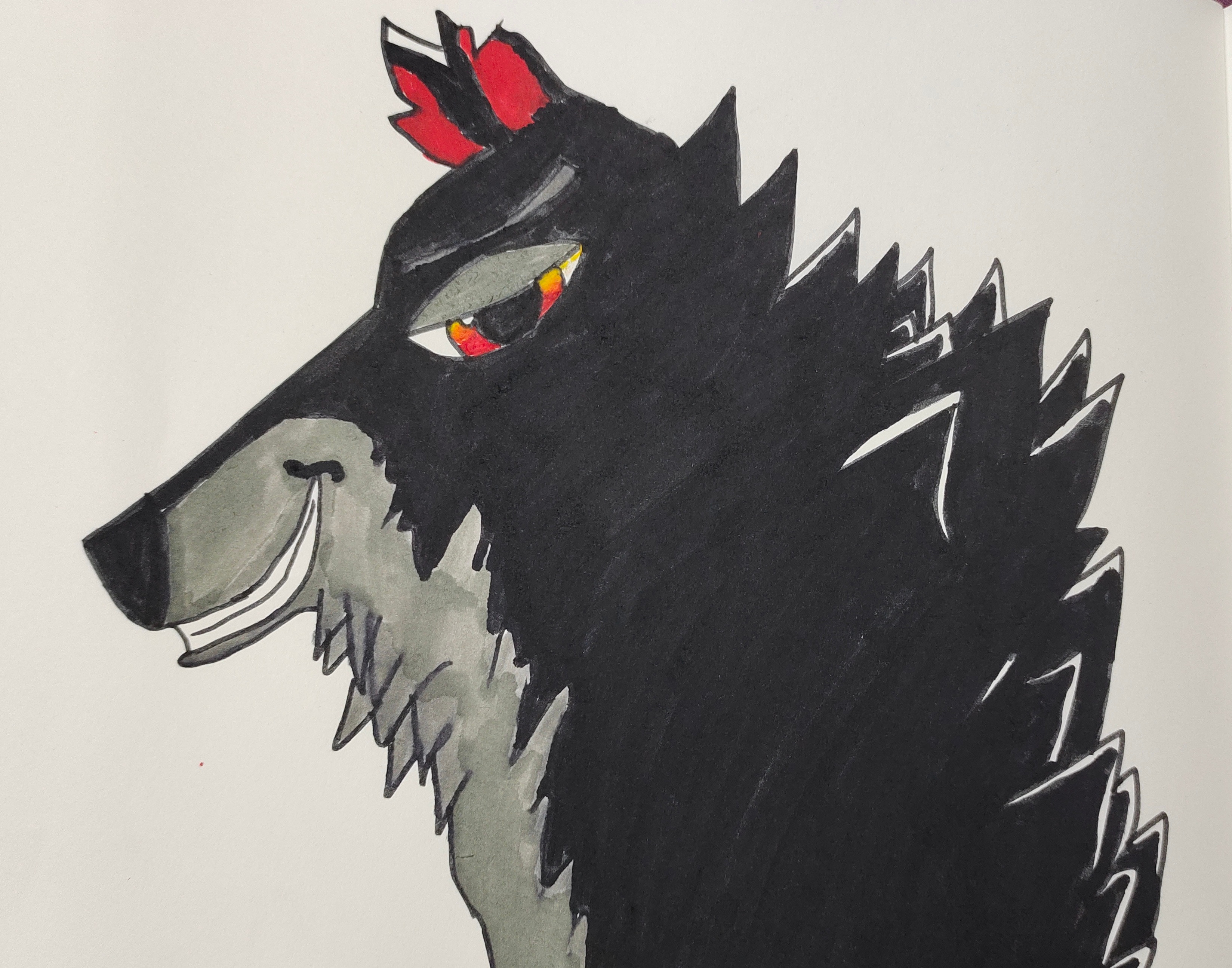 My first ever sketched wolf!