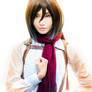 Mikasa Ackerman (Alodia) - II