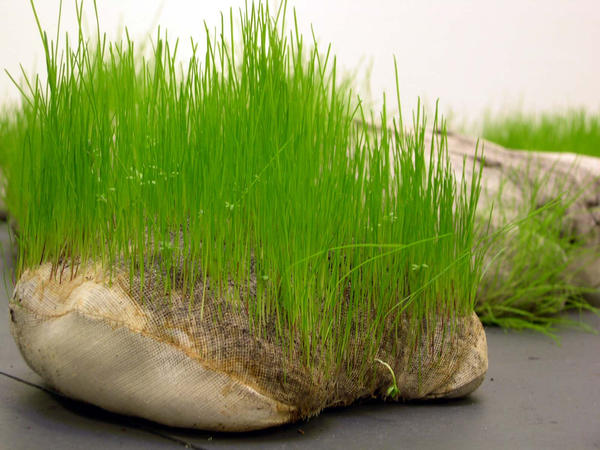 Grass Pillow - image 1