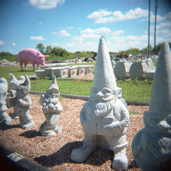 Garden Gnomes