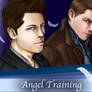 Destiel Angel Training Cover