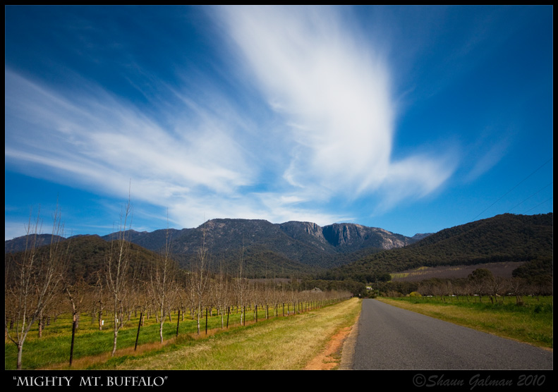 Mighty Mt. Buffalo