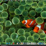 Fishy