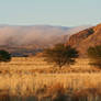 Namaqualand4