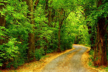 Green road home....