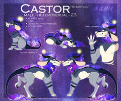 Castor | Sona