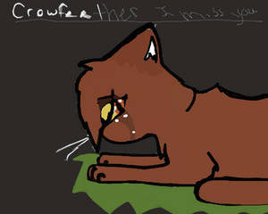 leafpool's broken :(