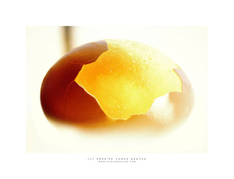 golden egg