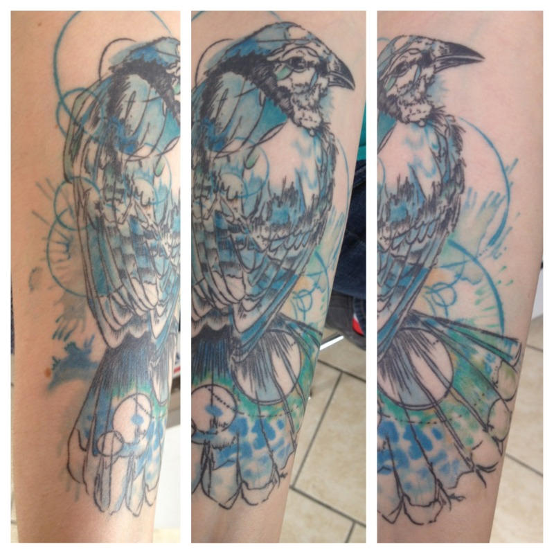Abby Diamond Bluejay Tattoo By Candicethetattooist On Deviantart