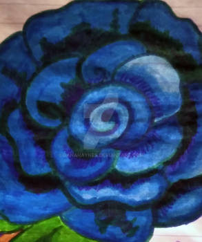 2021 Doodle Blue Rose