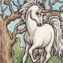 Unicorn and the Old Tree