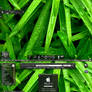 My Hud