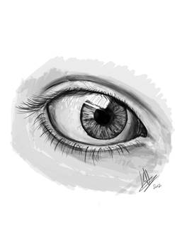 Eye