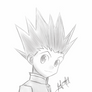 Gon~