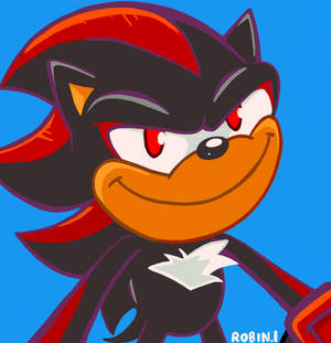 Shadow The Hedgehog 