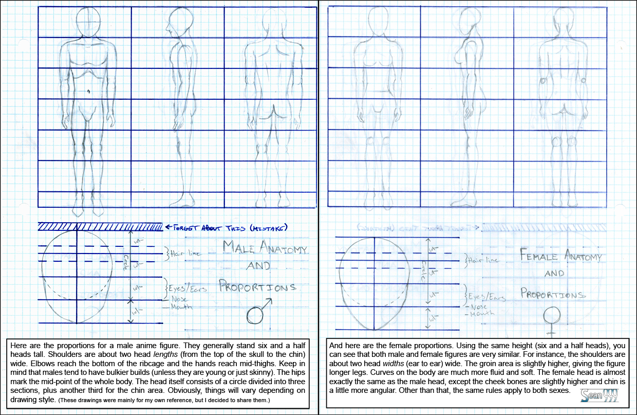 Human Anime Proportions
