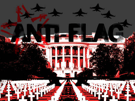 Anti-Flag white house