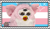 trans furbies