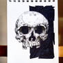 Skull1