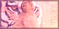 Tiger Signature