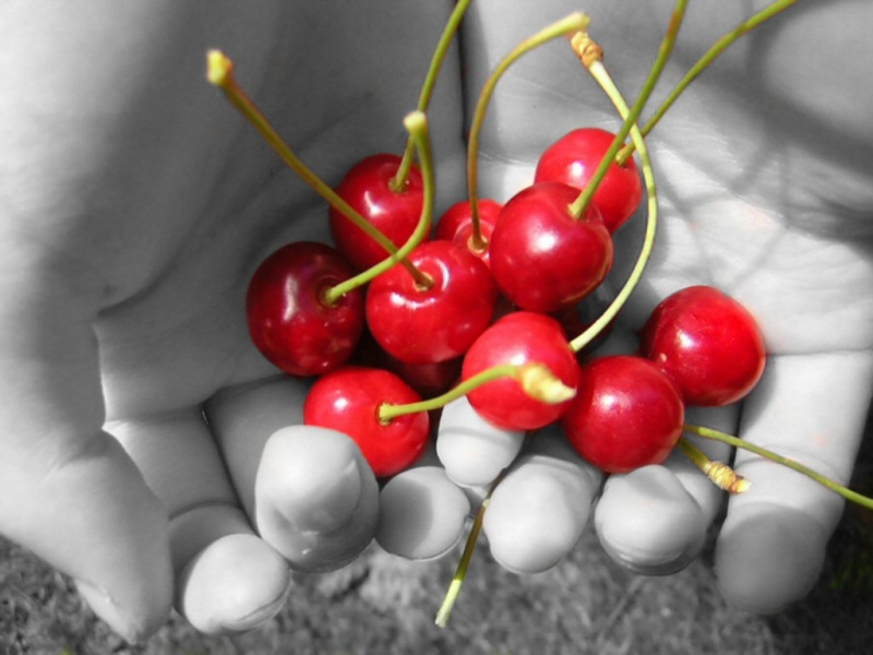 Cherries