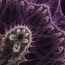Fractal 2D - 12