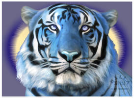 The Dark Night - Tiger Portrait Painting