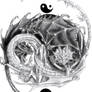 Dragon YinYang #2